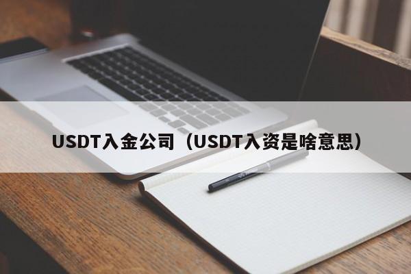 USDT入金公司(USDT入资是啥意思)